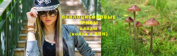 эйфоретик Верея